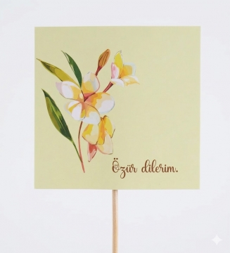 Özür Dilerim