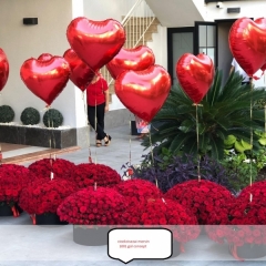 1001 adet gül kutusu balonlarları